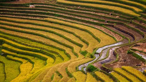 E4H image of terraced slopes